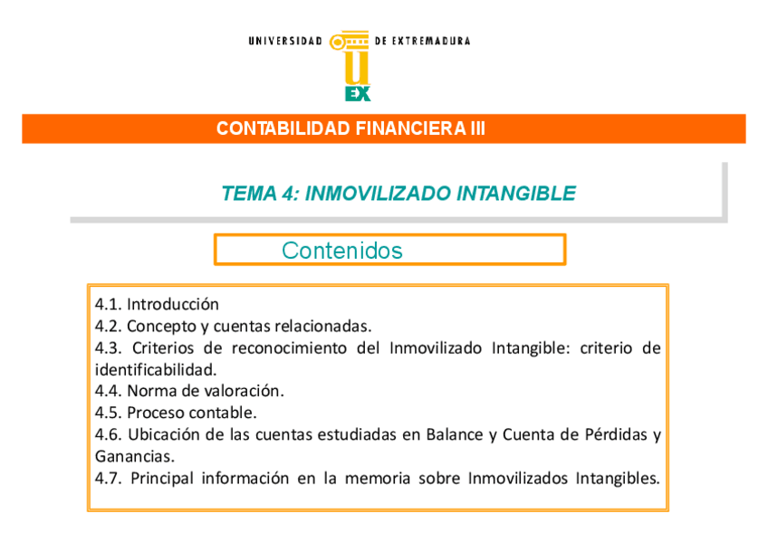 Miniatura del documento T4-INMOVILIZADO-INTANGIBLE.pdf