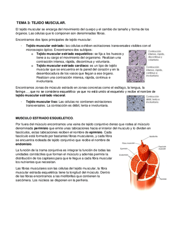 Miniatura del documento TEMA 3.pdf
