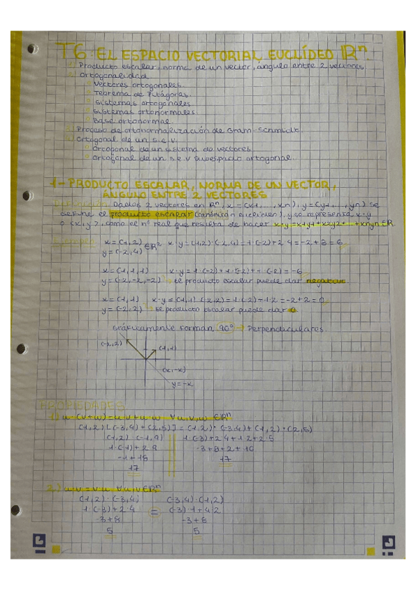 Miniatura del documento TEMA 6 - El espacio vectorial euclídeo Rn (Apuntes y ejercicios resueltos).pdf
