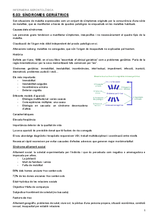 Miniatura del documento 5.03-Sindromes-geriatrics.pdf
