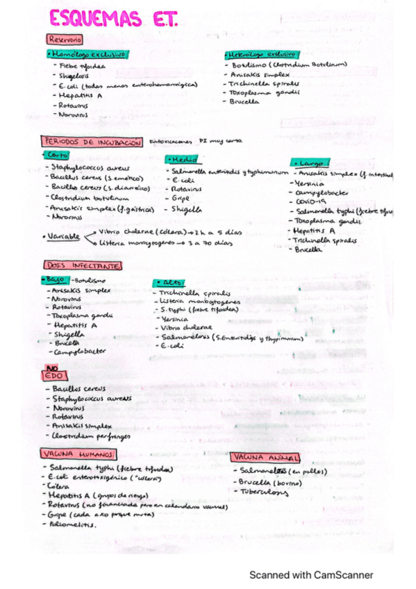 Miniatura del documento Resumen-SP-teoria.pdf