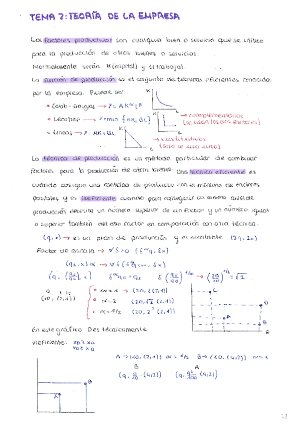 Miniatura del documento Teoria-de-la-empresa.pdf
