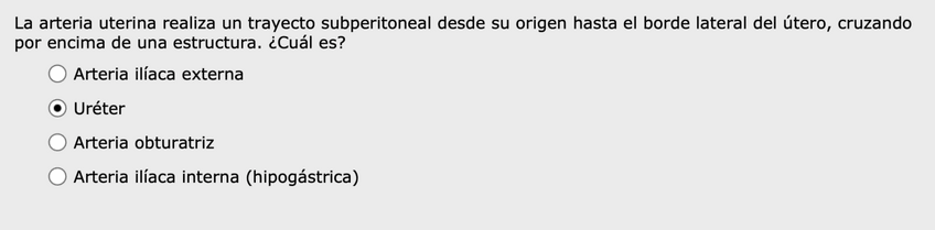 Miniatura del documento Test-genito-urinario-2-R.pdf
