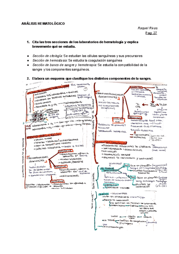 Miniatura del documento ACTIVIDADES-ALTAMAR-TEMA-1-HEMATOLOGIA.pdf