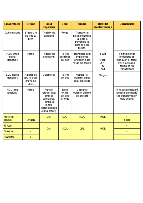 Miniatura del documento Tema-3-Lipoproteines.pdf