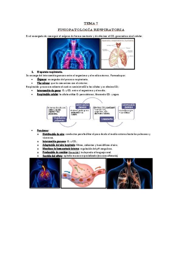 Miniatura del documento Unidad-7-FPG.pdf