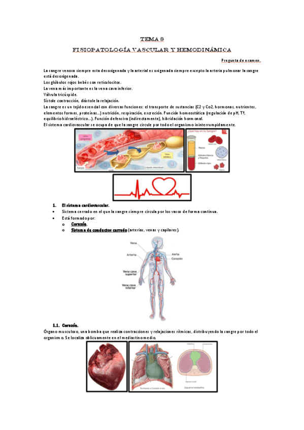 Miniatura del documento Unidad-8-FPG.pdf