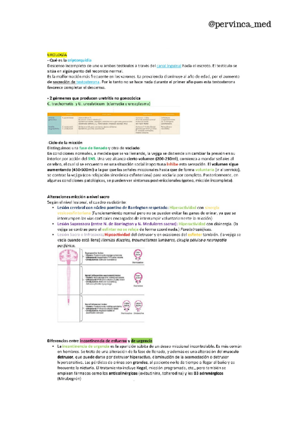 Miniatura del documento (act 2024) Recopilatorio-cortas-UROLOGIA-RESUELTAS.pdf