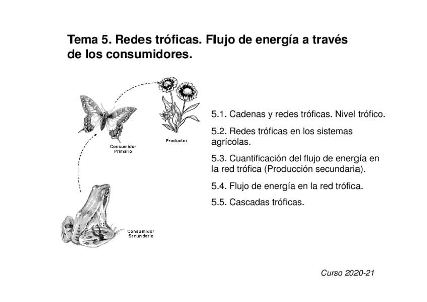 Miniatura del documento Tema-5-Redes-troficas.pdf