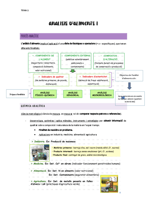 Miniatura del documento TEMA-1-Proces-Analitic.pdf