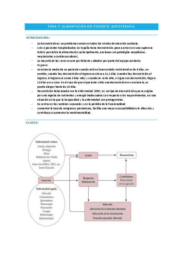 Miniatura del documento TEMA-7.pdf