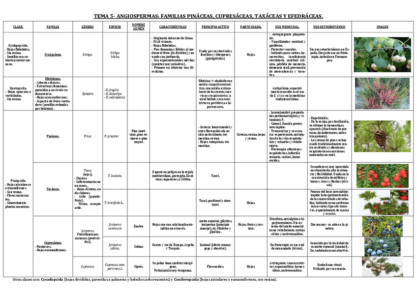 Miniatura del documento TEMA 5B.pdf