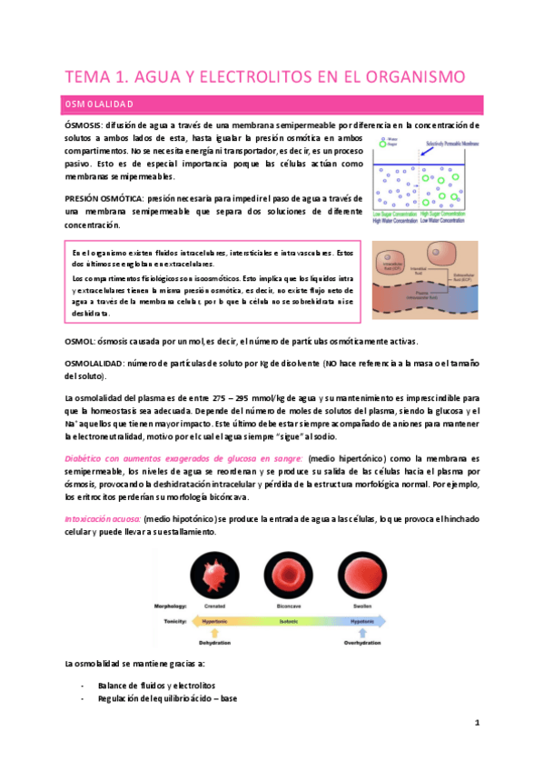 Miniatura del documento Tema-1.-Agua-y-elecctrolitos-en-el-organismo.pdf