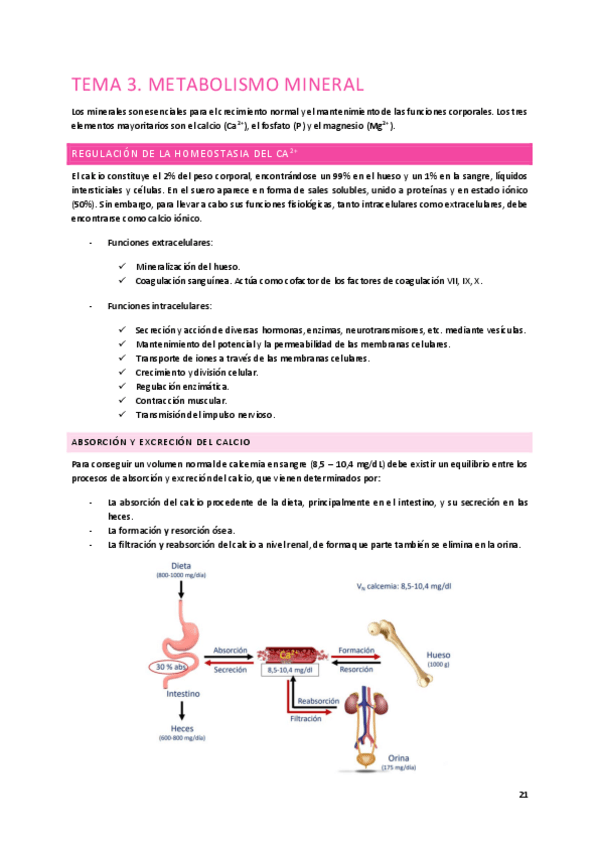 Miniatura del documento Tema-3.-Metabolismo-mineral.pdf