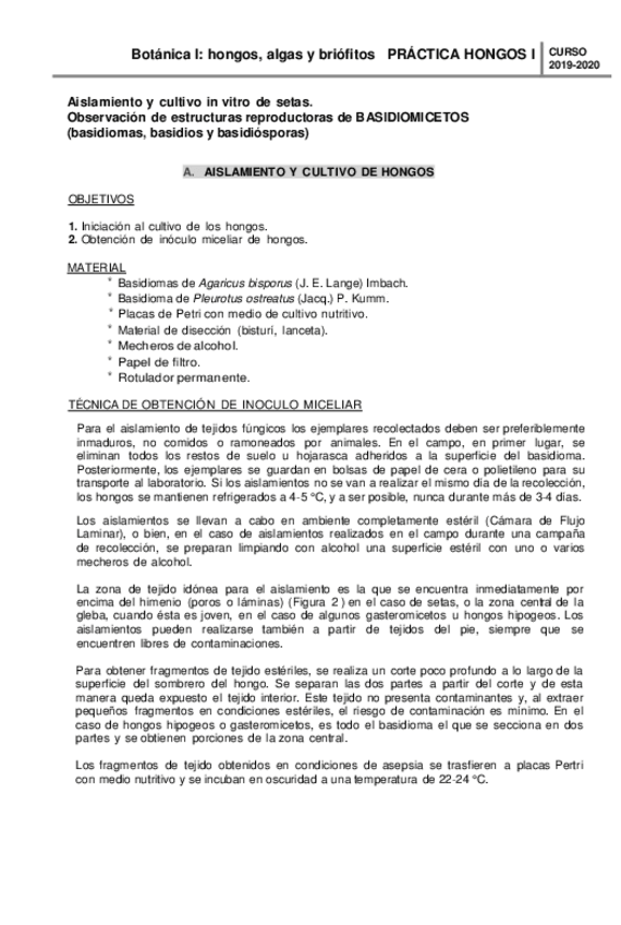 Miniatura del documento PRACTICAS-FUSIONADAS-BOT-I-1.pdf