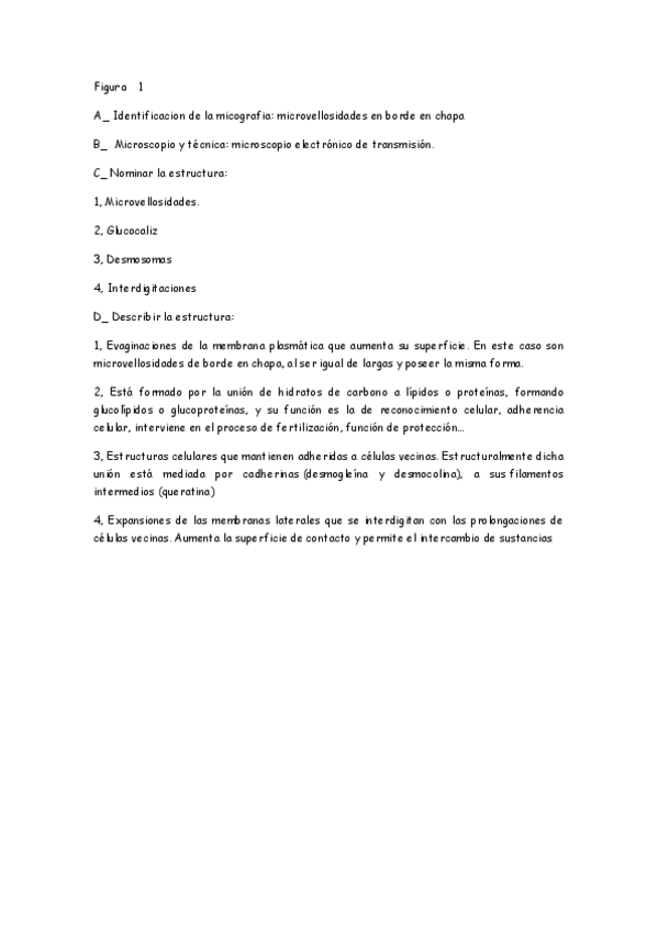 Miniatura del documento examen-cito.pdf