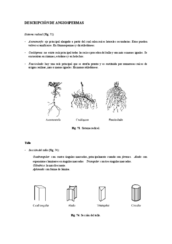 Miniatura del documento Practicas-Bot-II.pdf