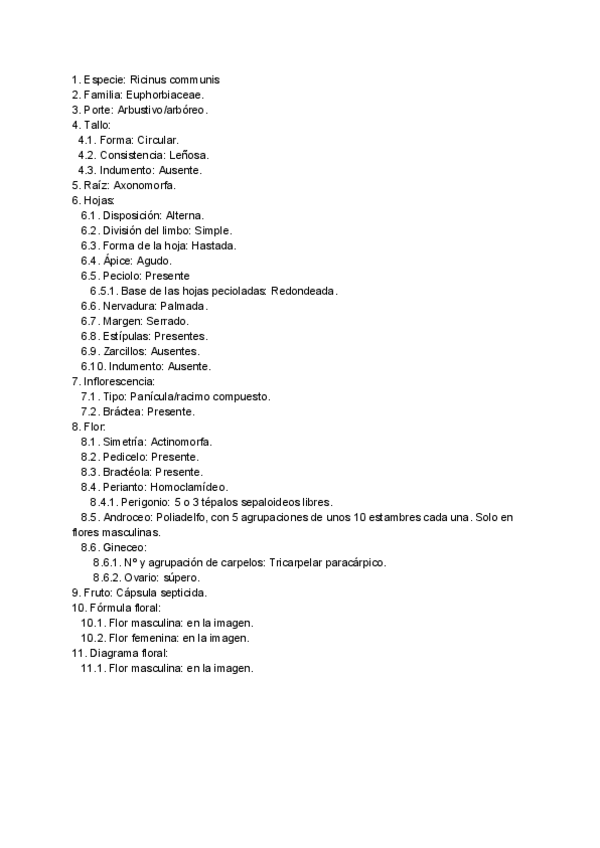 Miniatura del documento Descripcion-Ricinus-communis-corregida-1.pdf