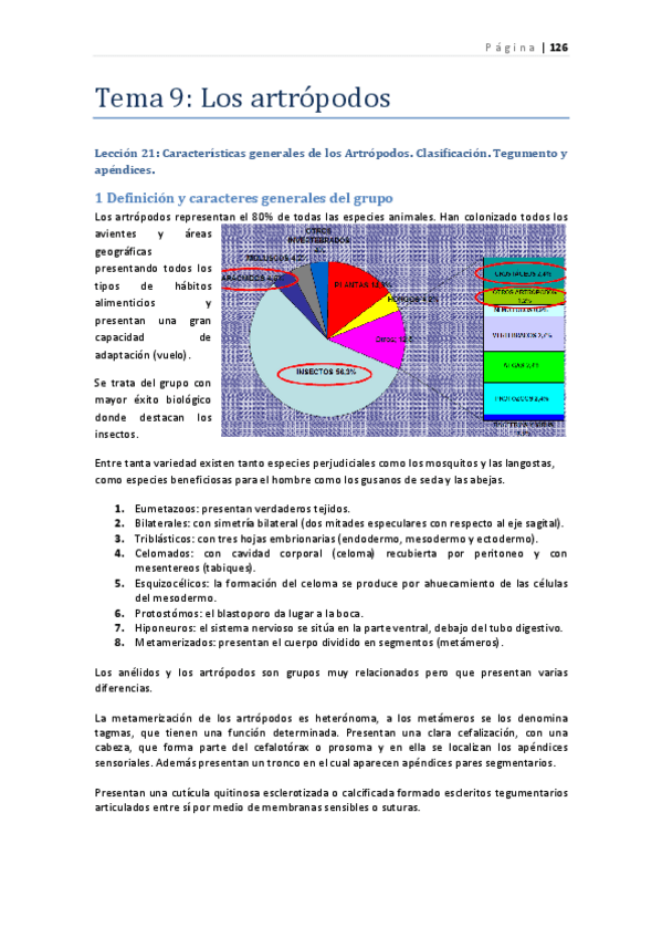 Miniatura del documento zoo-apuntes-artropodos.pdf
