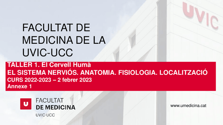 Miniatura del documento T1-Anexe-Taller-1.-Anatomia-i-nomenclatura-arrels-de-la-columna.pdf