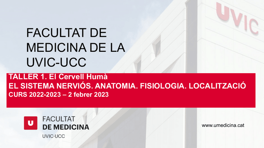 Miniatura del documento T1.-El-SNC.-Anatomia-fisiologia-localitzacio..pdf