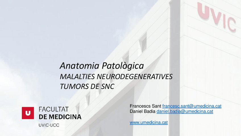 Miniatura del documento T12Taller-neurologia.pdf
