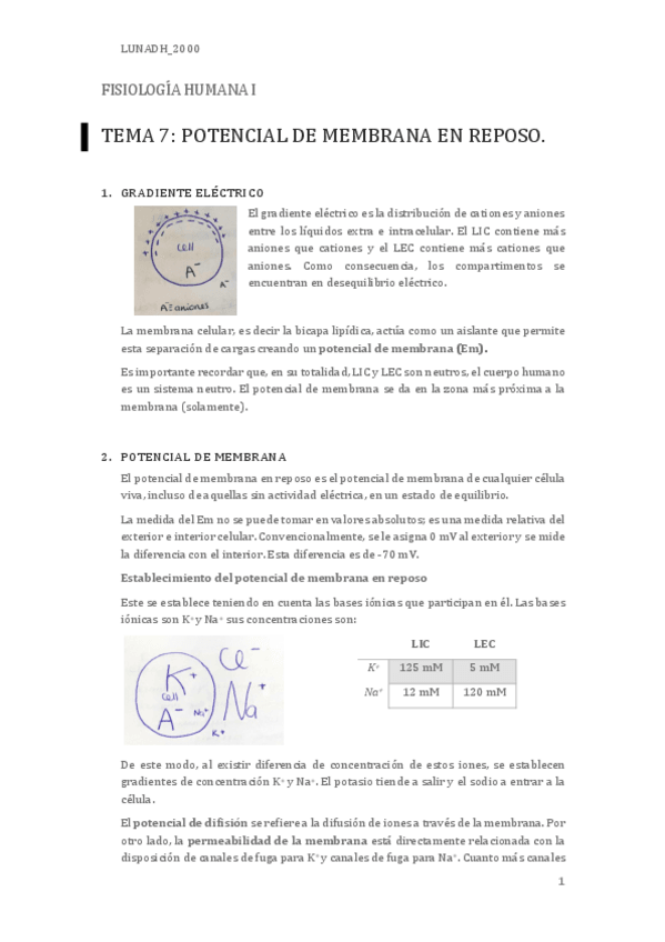 Miniatura del documento T7.pdf