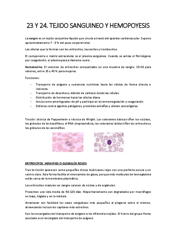 Miniatura del documento 23-Y-24.-sangre.pdf