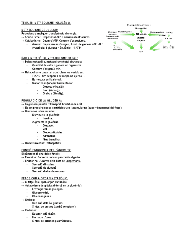 Miniatura del documento resumen-T28.pdf