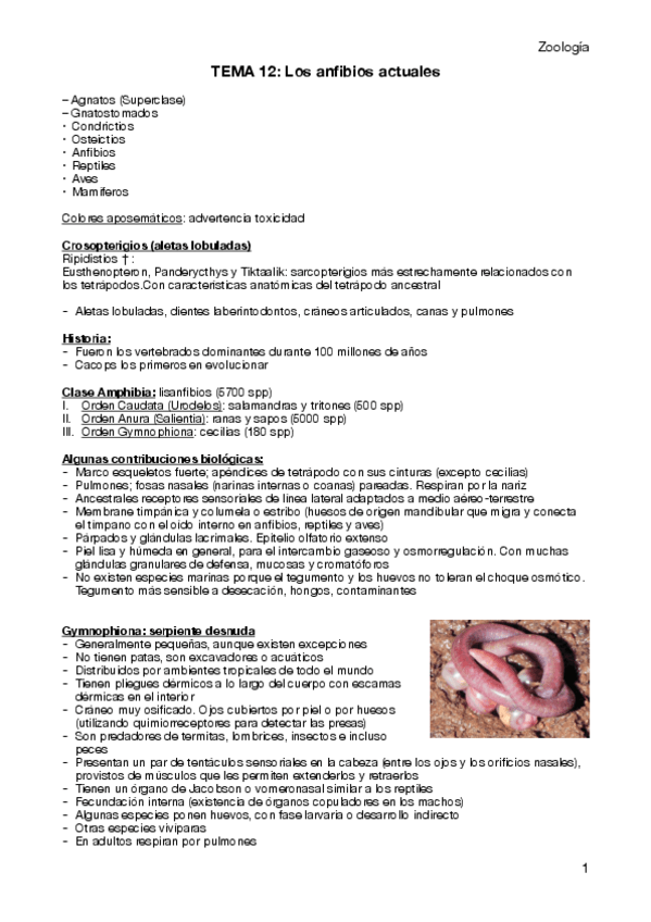Miniatura del documento Tema-12.pdf
