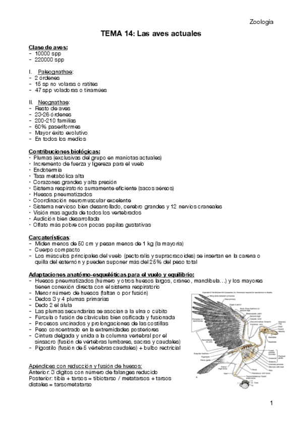 Miniatura del documento Tema-14.pdf