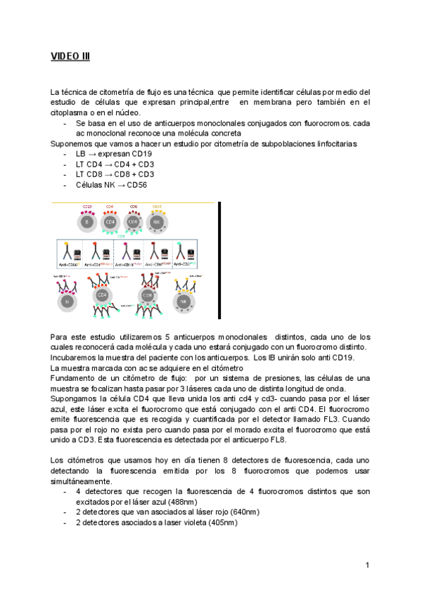Miniatura del documento VIDEO-3-CITOMETRIA-DE-FLUJO.pdf