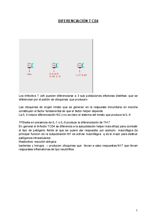 Miniatura del documento VIDEO-6-DIFERENCIACION-T-CD4.pdf