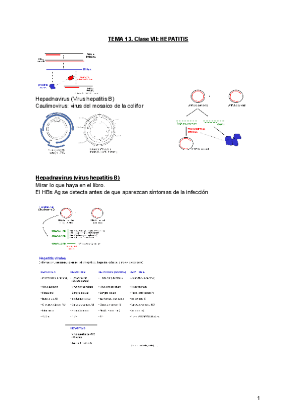 Miniatura del documento TEMA-13.-HEPATITIS.pdf