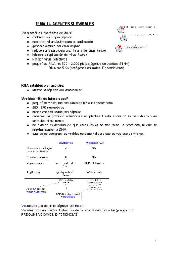 Miniatura del documento TEMA-14.-AGENTES-SUBVIRALES.pdf