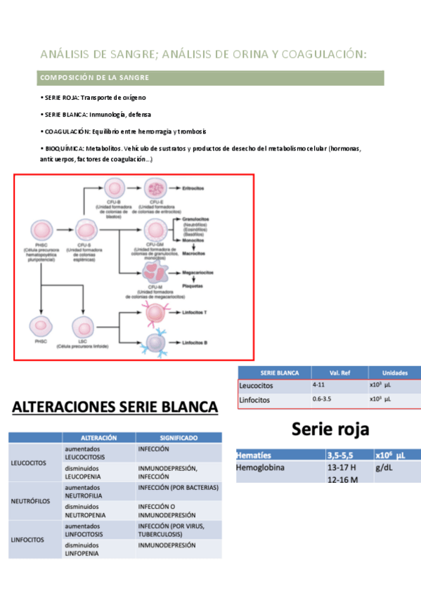 Miniatura del documento t3-lb.pdf