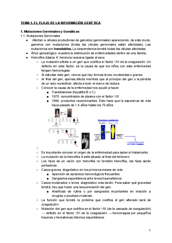Miniatura del documento TEMA-1.pdf