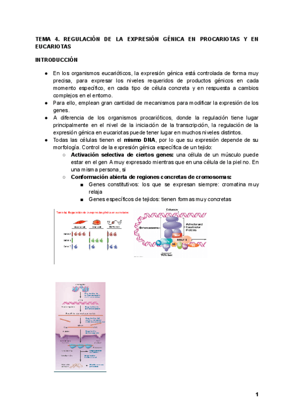 Miniatura del documento TEMA-4.pdf