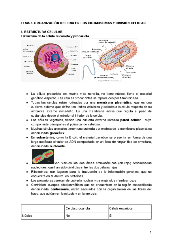 Miniatura del documento TEMA-5.pdf