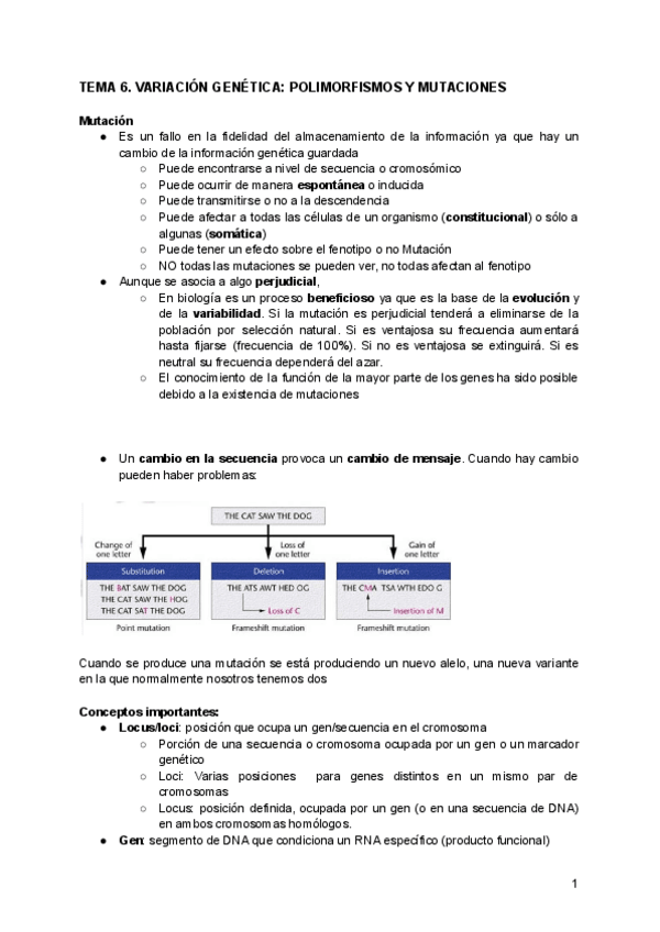 Miniatura del documento TEMA-6.pdf