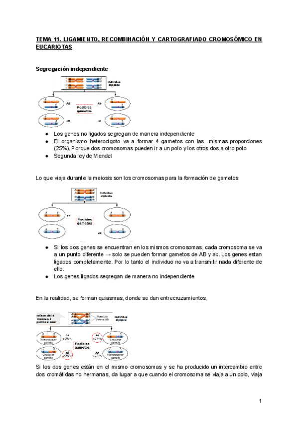 Miniatura del documento TEMA-11.pdf