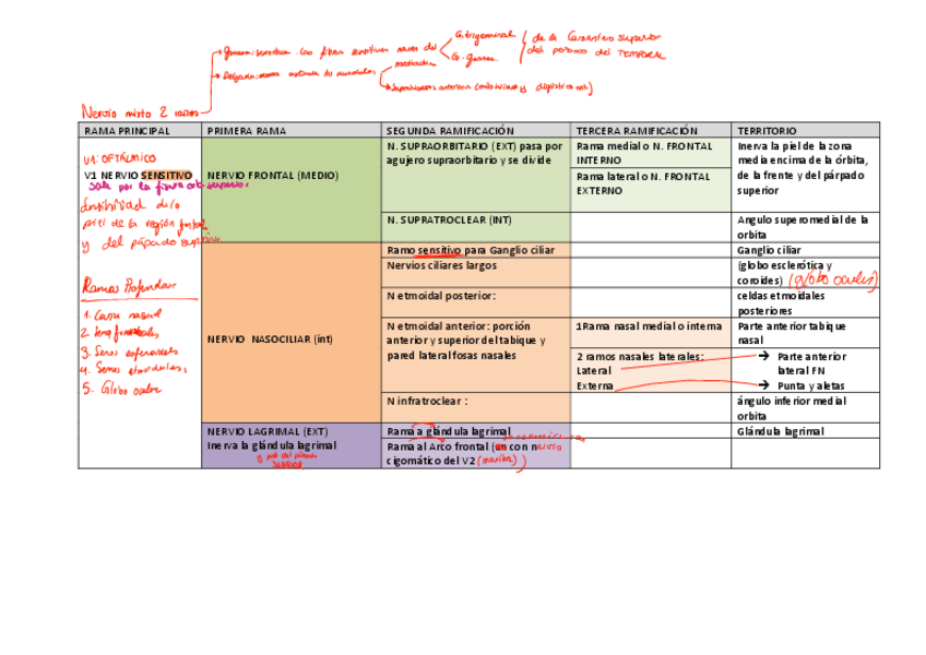 Miniatura del documento Anato-resumenes-Segundo-cuatri.pdf