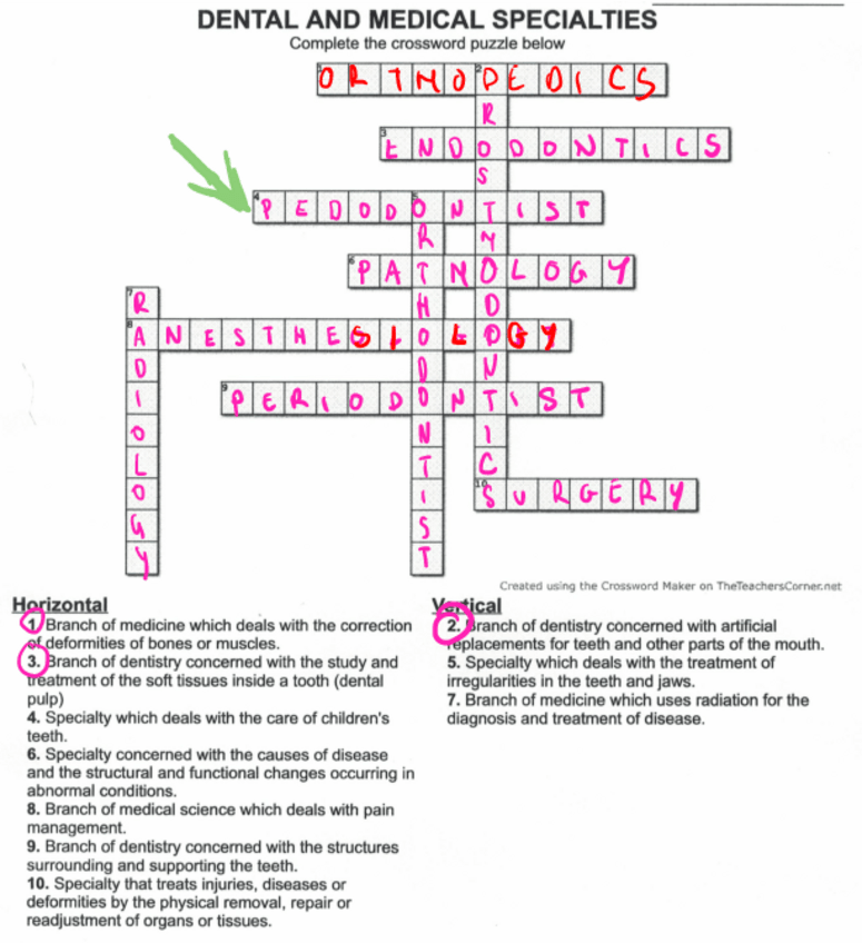 Miniatura del documento CROSSWORD-PUZZLE-DENTAL-AND-MEDICAL-SPECIALTIES.pdf