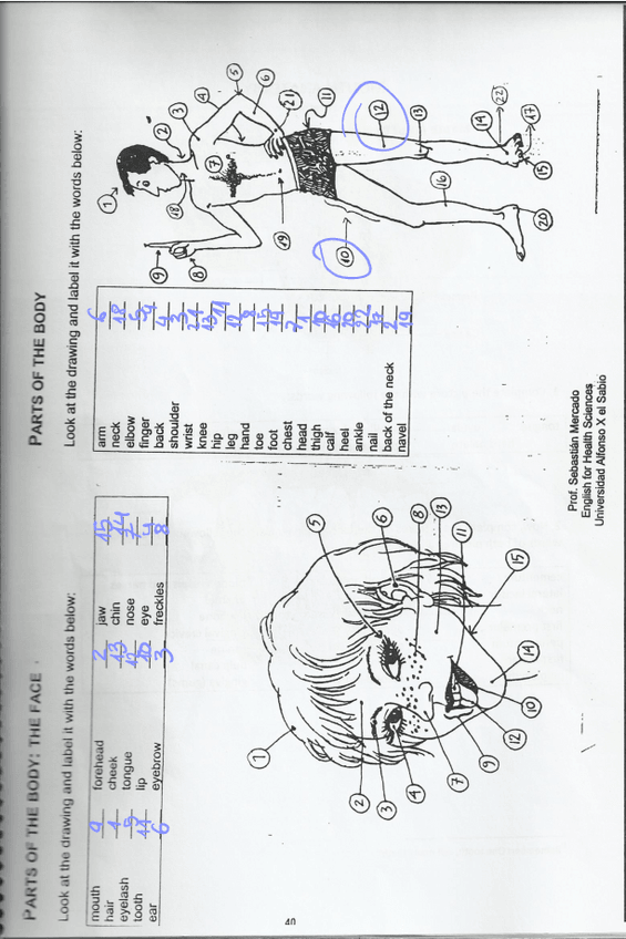Miniatura del documento Parts-of-the-Body.pdf