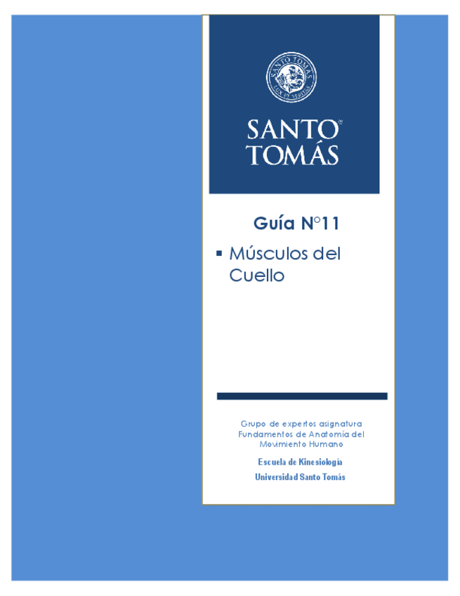 Miniatura del documento MUSCULOS-DEL-CUELLO.pdf