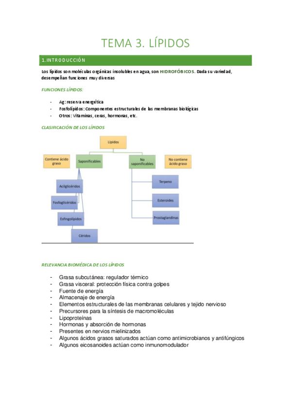 Miniatura del documento BIOQUIMICA-lipidos-proteinas-y-enzimas-345.pdf