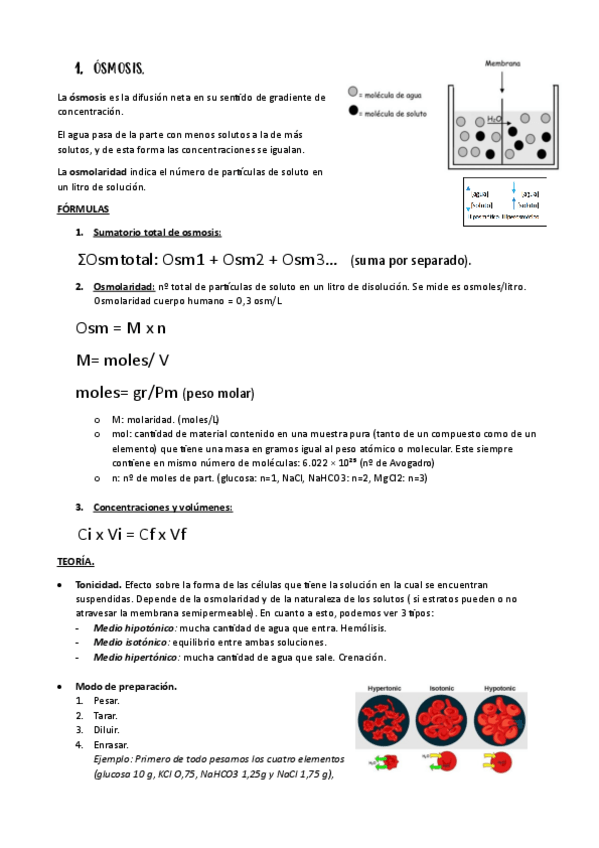 Miniatura del documento Practicas-fisiologia-examen.pdf