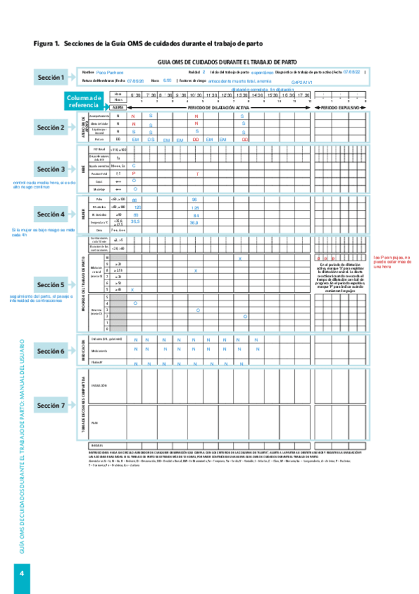 Miniatura del documento partograma-1.pdf