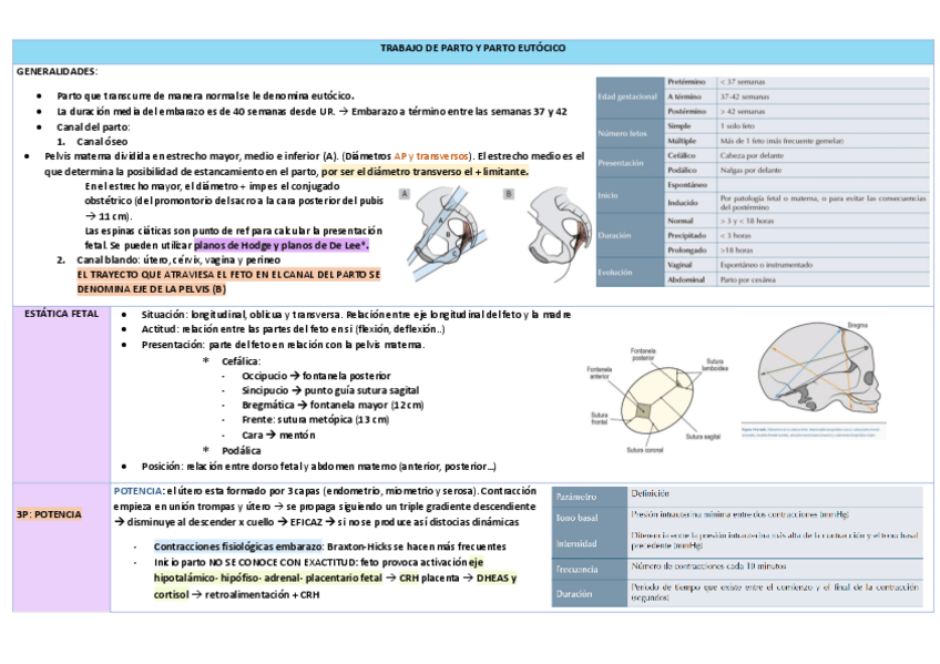 Miniatura del documento TRABAJO-DE-PARTO-Y-PARTO-EUTOCICO.pdf
