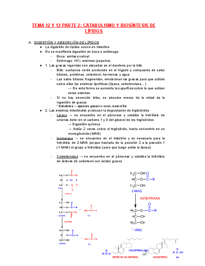 Miniatura del documento BIOQUIMICA-TEMA-12-13-PARTE-2.pdf